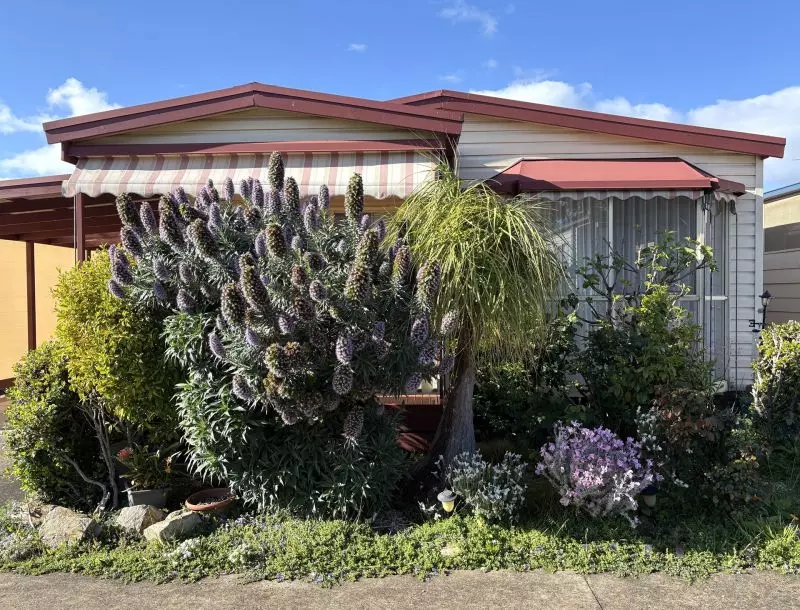 Peninsula Parklands - Site 22