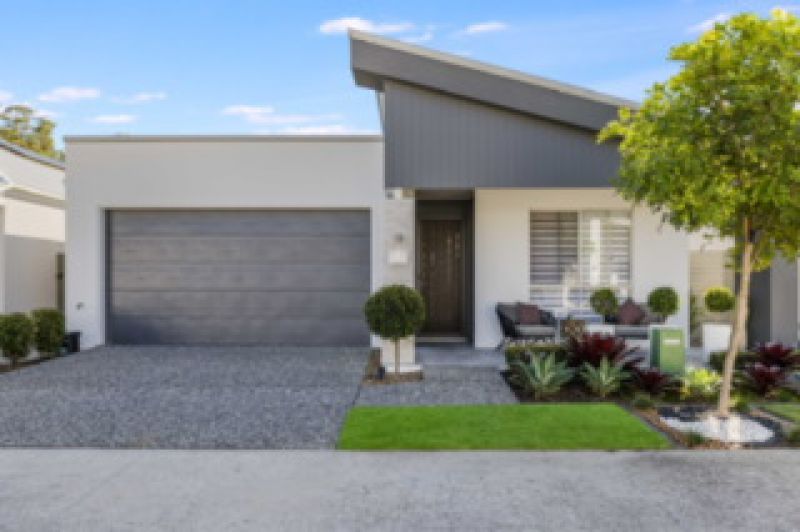 Site 262 - Established Sequoia