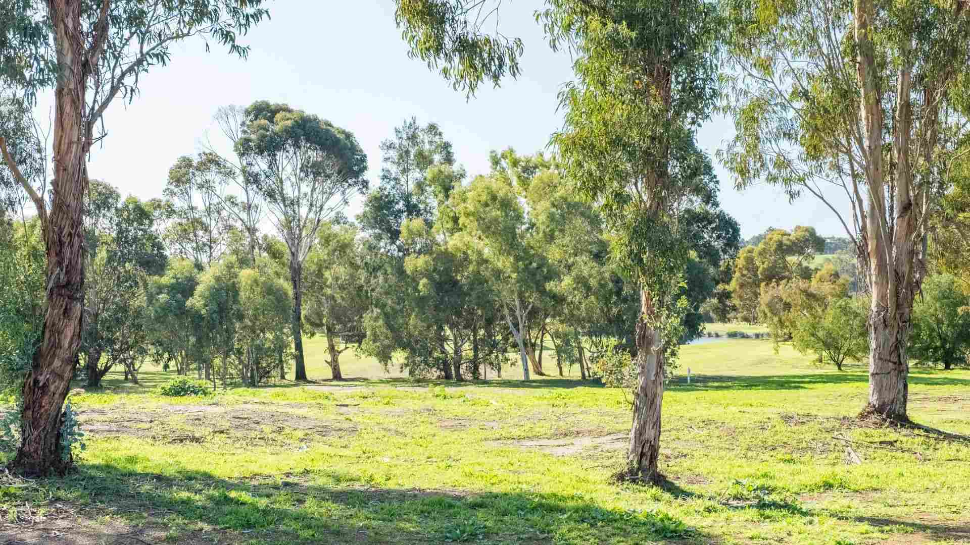 Sierra Lifestyle - Morgan Design