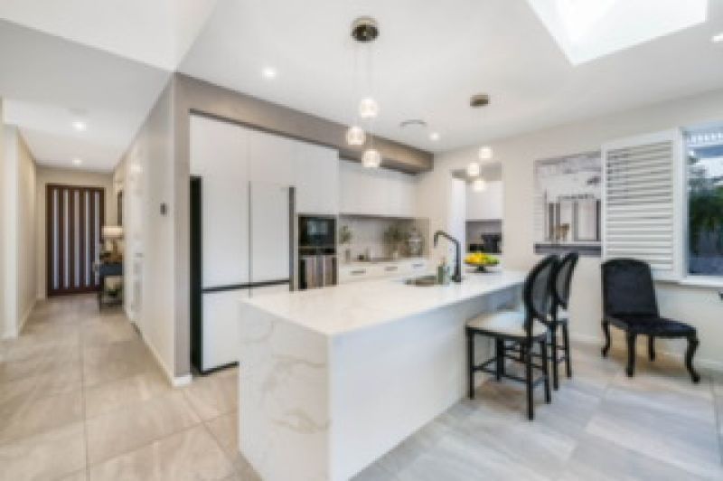 Site 262 - Established Sequoia