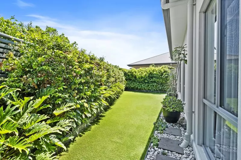 Site 81 - Established Special