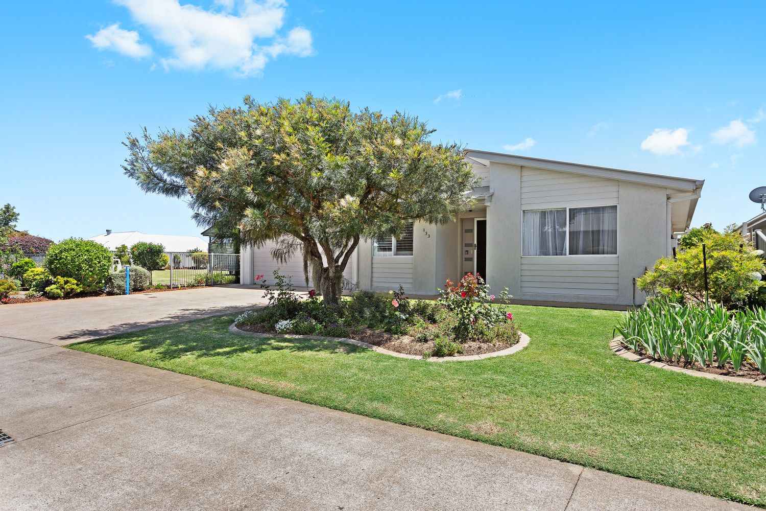 "One of a Kind- Eucalyptus"