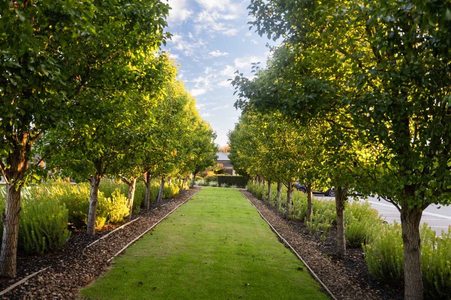 Lifestyle Communities Officer - Life's better when the Clubhouse is just around the corner