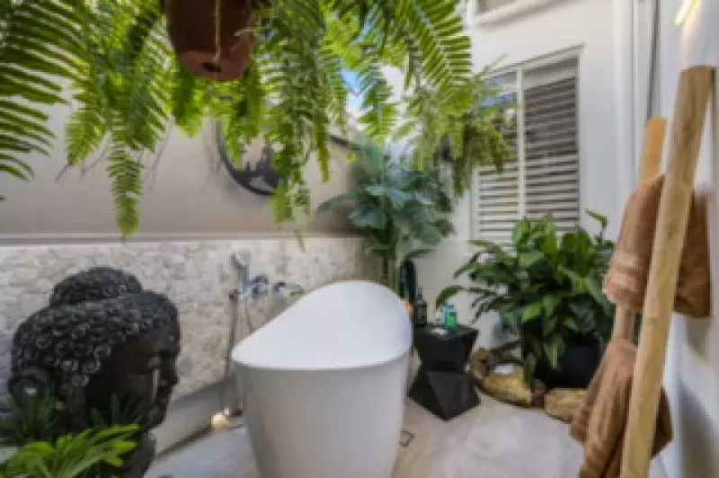 Site 262 - Established Sequoia