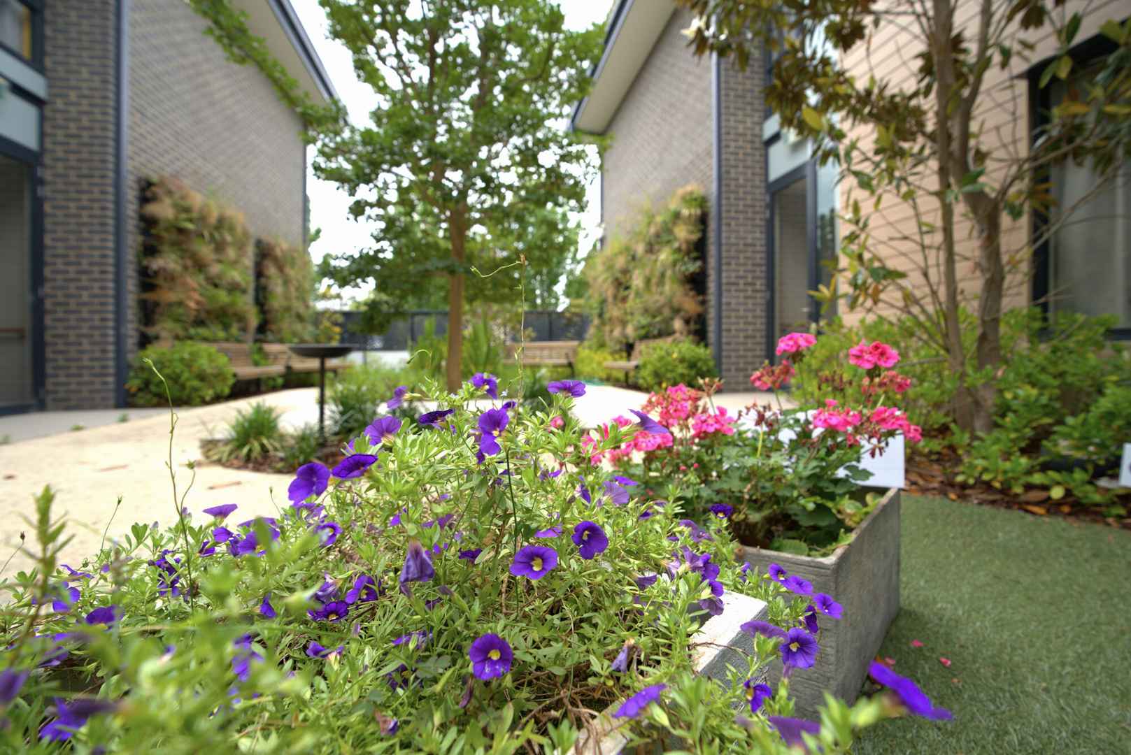 Campbell Place Aged Care