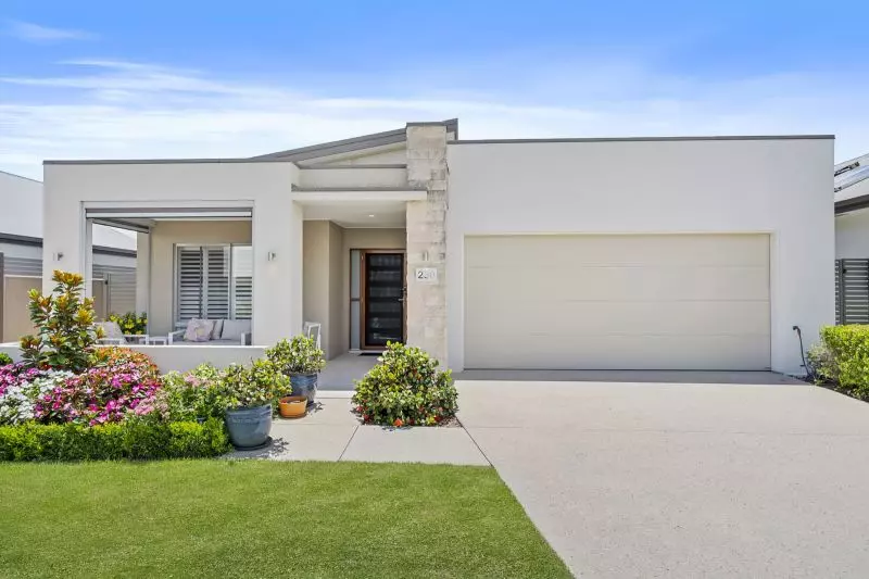 Site 230 - Established Peregrine