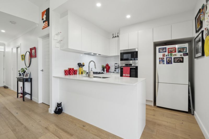 Expansive Alfresco & Vibrant Modern Design