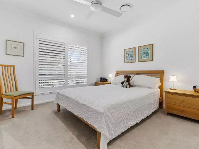 Site 28 - Established Sequoia