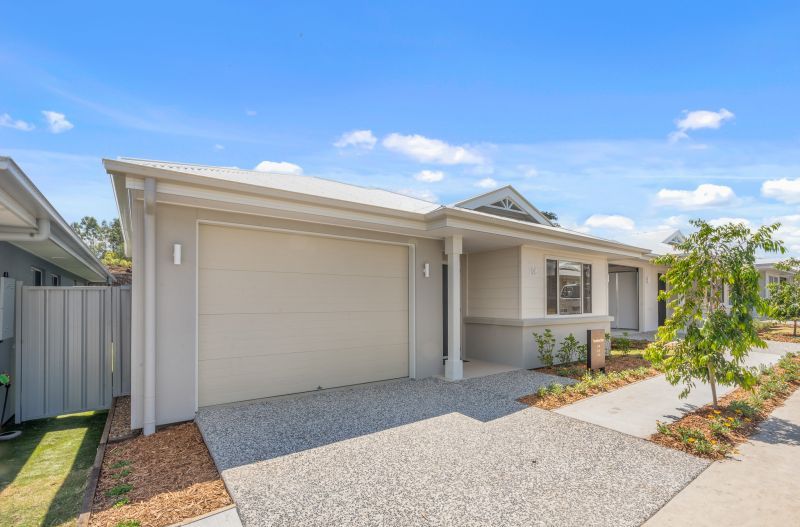 Introducing the Tamborine