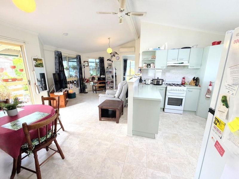 Don't Miss This Opportunity