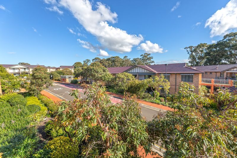 Sunny outlook from living areas flowing to a wide balcony overlooking our tree-lined  surrounds.