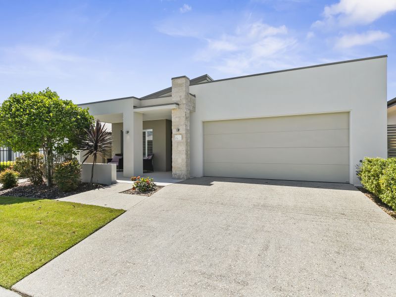 Site 230 - Established Peregrine