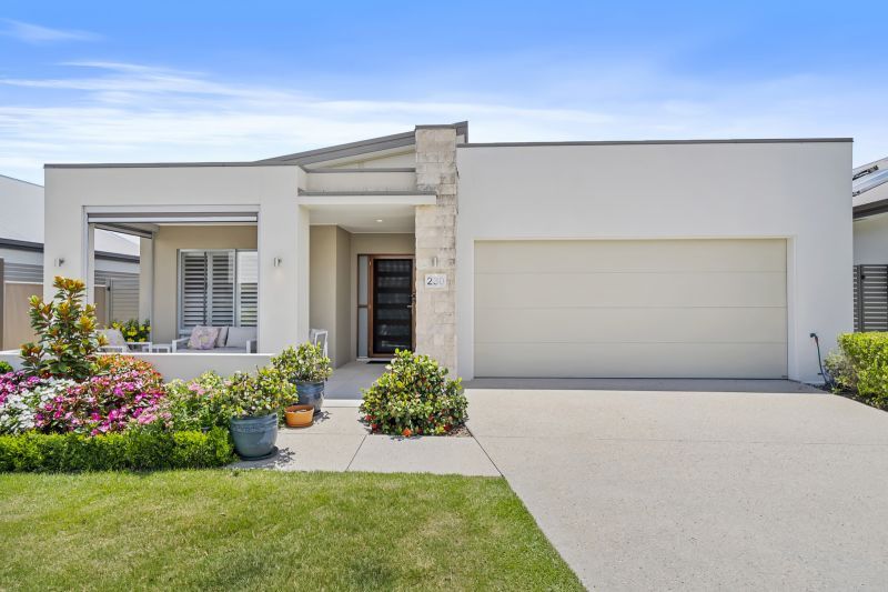 Site 230 - Established Peregrine