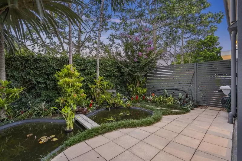 Site 166 - Established Saumarez