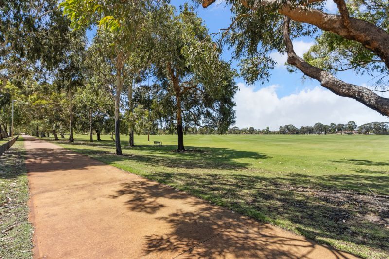 Charming Yokine Gem!