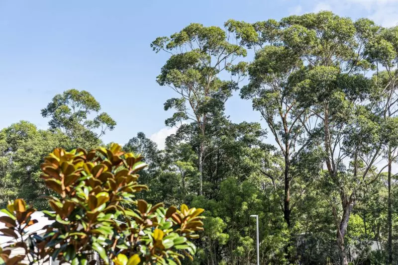 Elevated Sunset Views