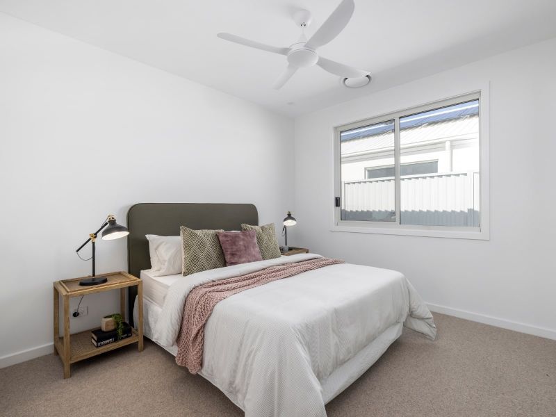 Introducing the Bottlebrush - Available to secure now 