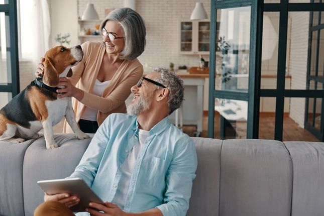 Barkitecture: How to seamlessly incorporate your pet's needs into your home design