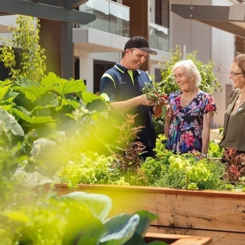 Comfortable ground floor apartment