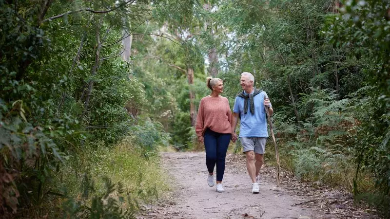 Site 299 - Established Sequoia