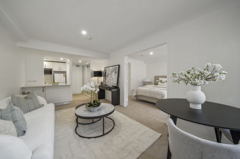 Large one-bedroom apartment