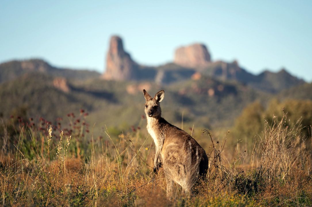 South West NSW