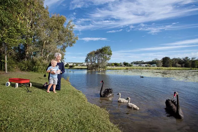 Site 127 - Established Sumarez