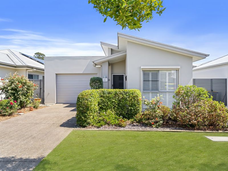 Site 60 - Established Coolum