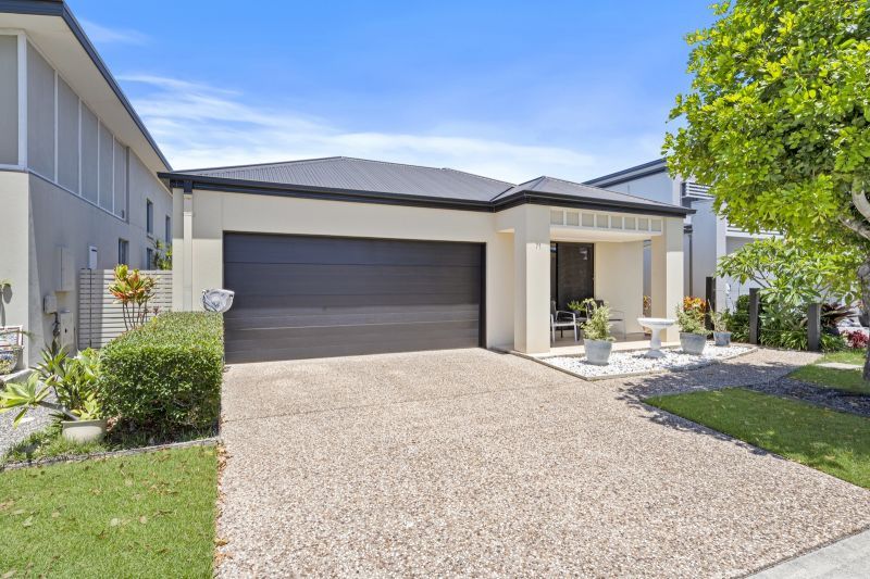 Site 71 - Established Fraser