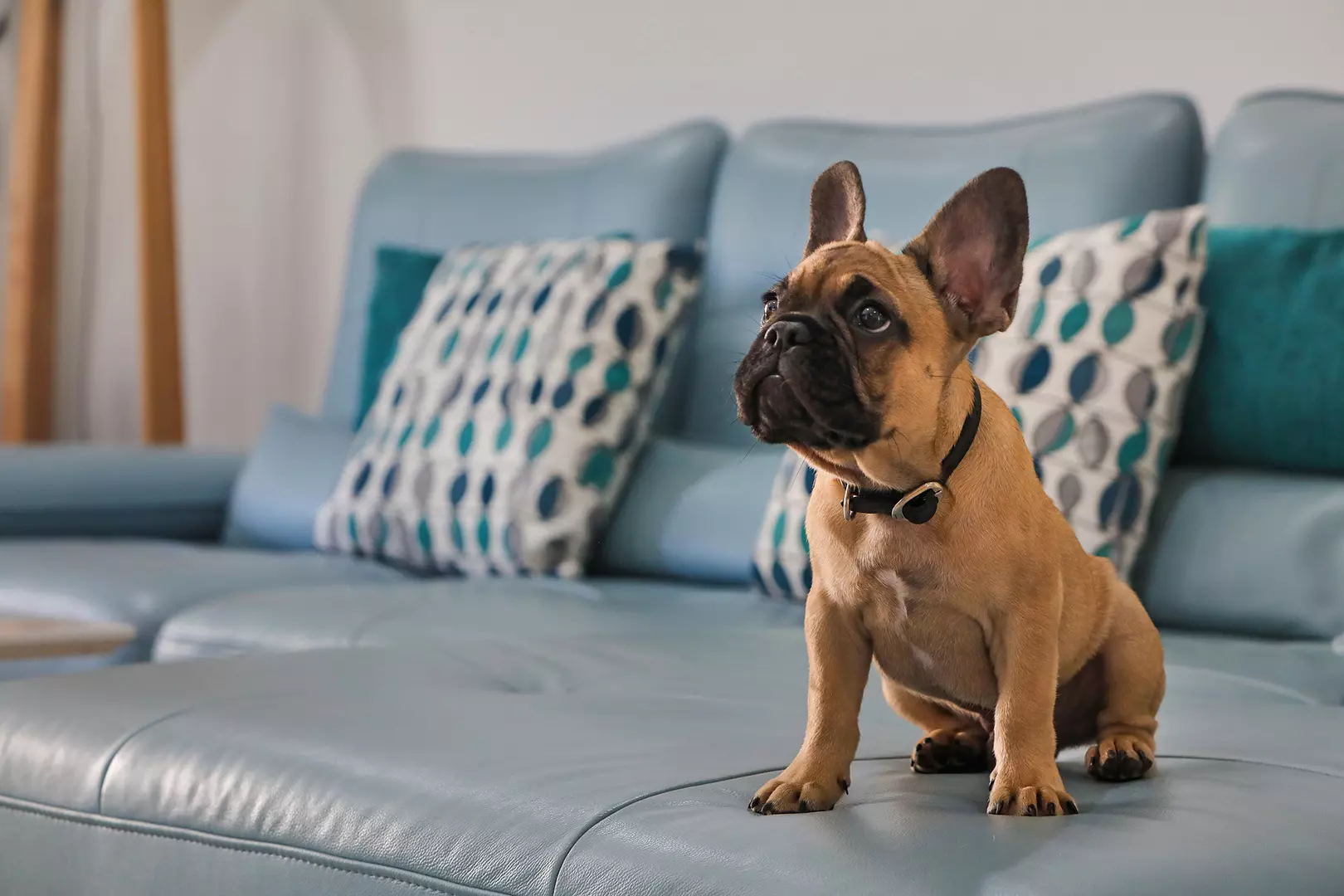 Maroochy Magic, Lifestyle Nirvana! - GemLife Maroochy Quays