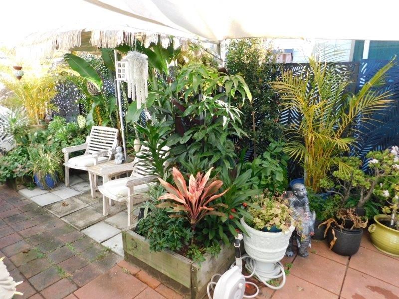 Site 242 (Pre Loved) Bayway Village