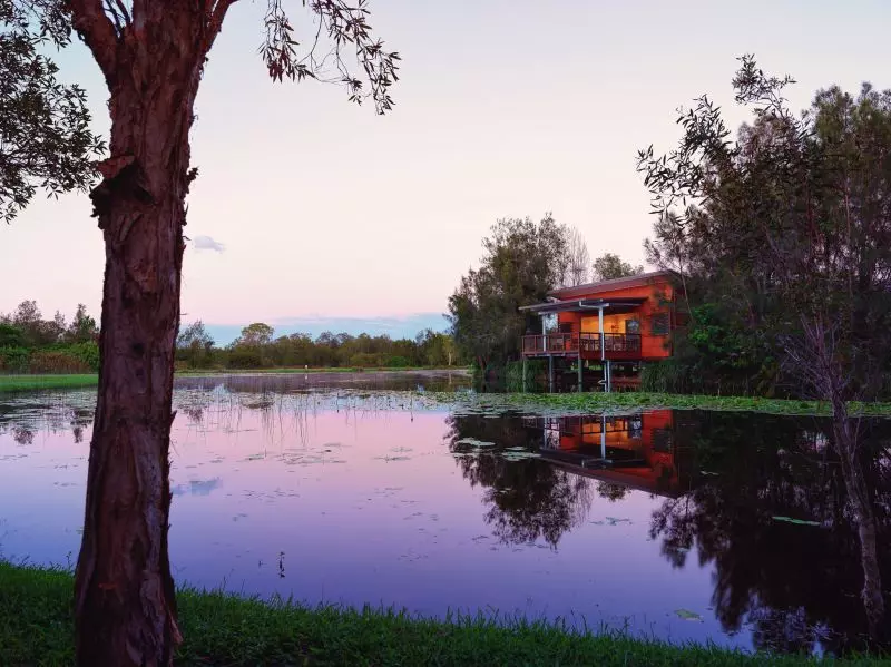 Site 36 - Established Hinchinbrook