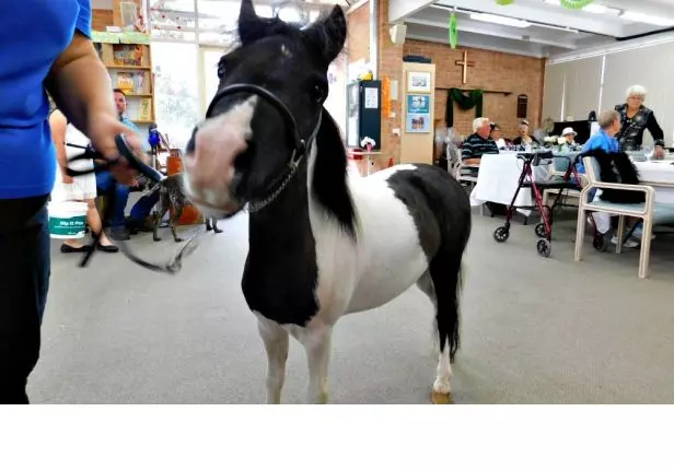 Albert Moore Gardens, Merimbula