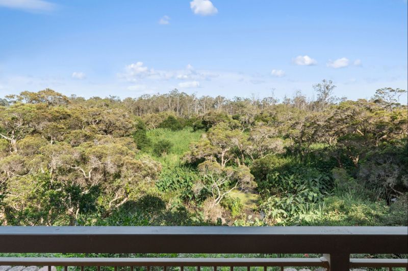 Spacious two-bedroom apartment with stunning bushland views