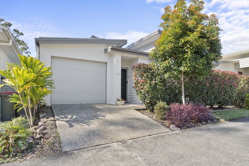 Light-filled Modern Haven