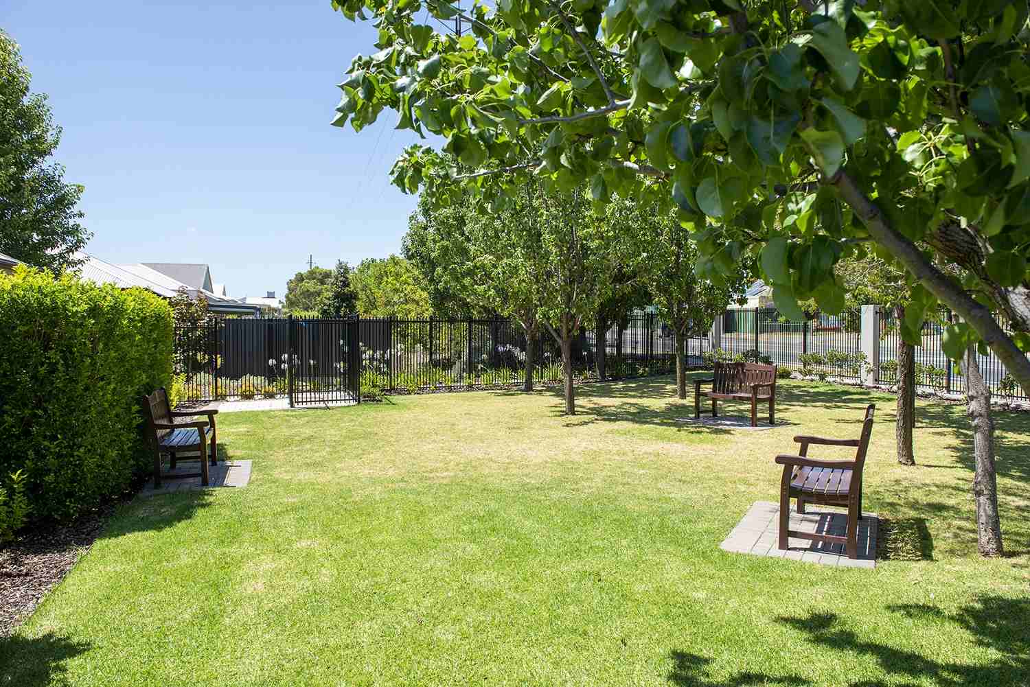 Join our waitlist at Lightsview