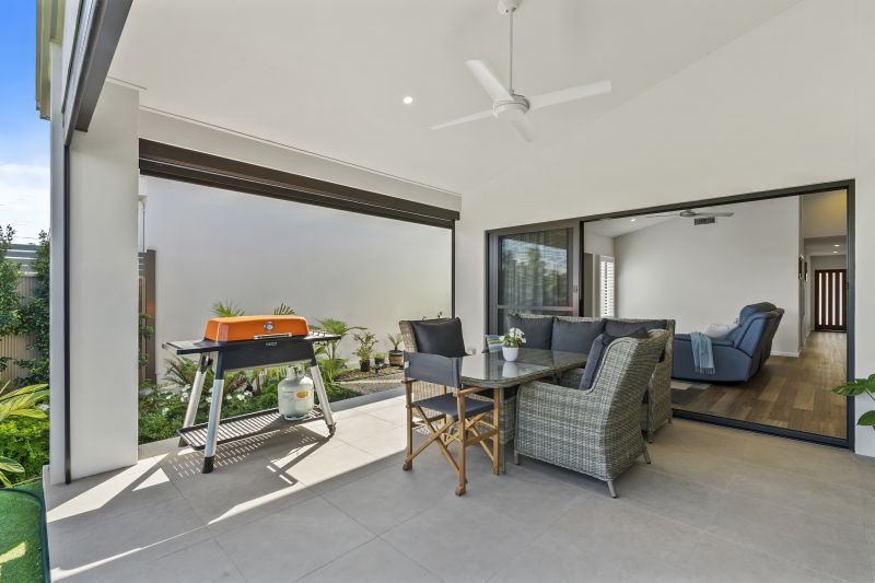 Site 217 - Established Sequoia