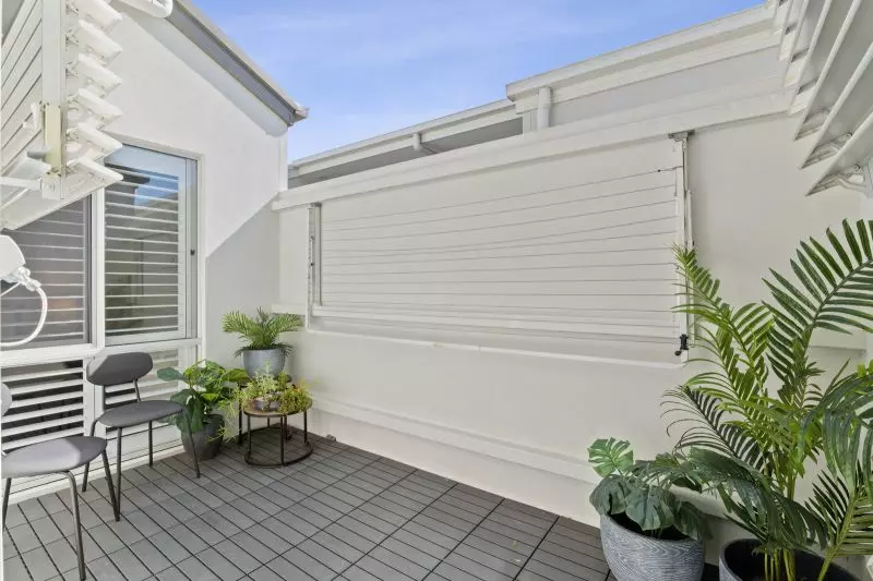 Site 153 - Established Kalbar