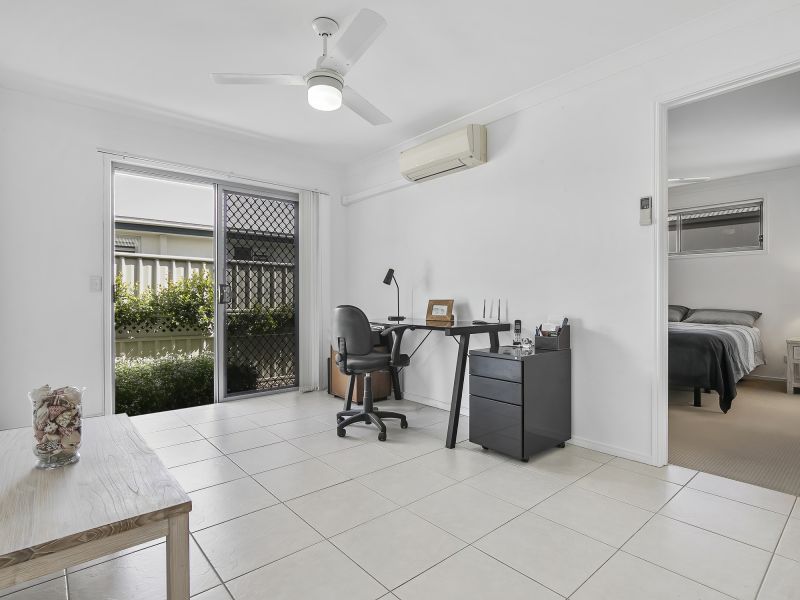 Site 115 - Established Saumarez