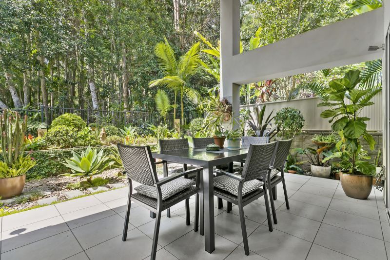 Stunning Rainforest Backdrop