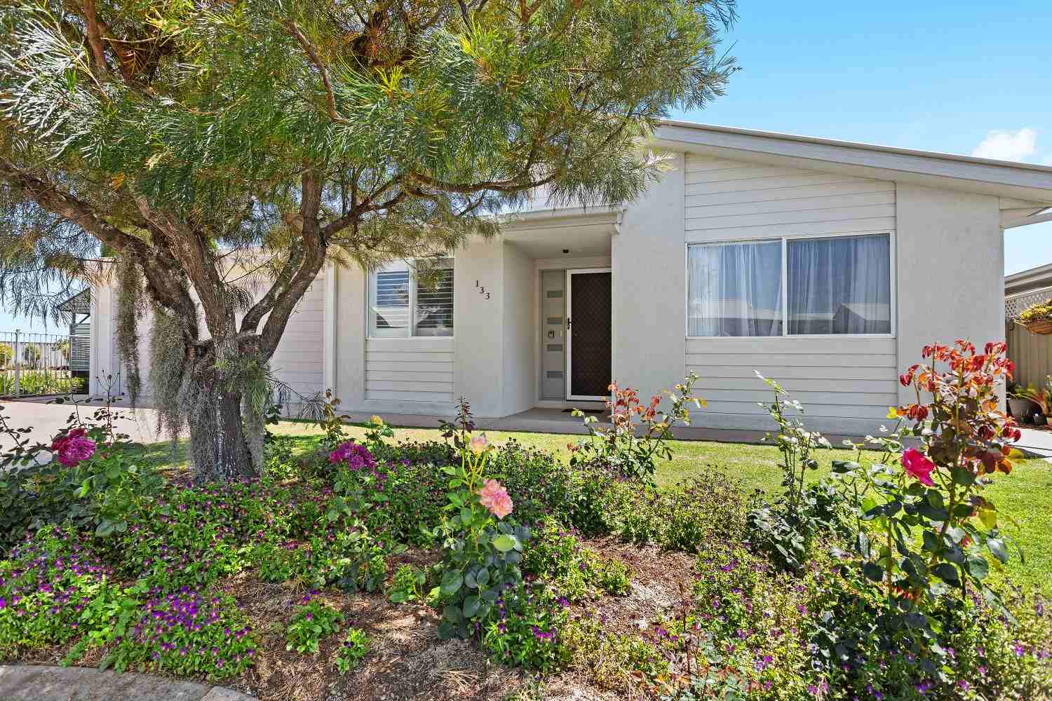 "One of a Kind- Eucalyptus"