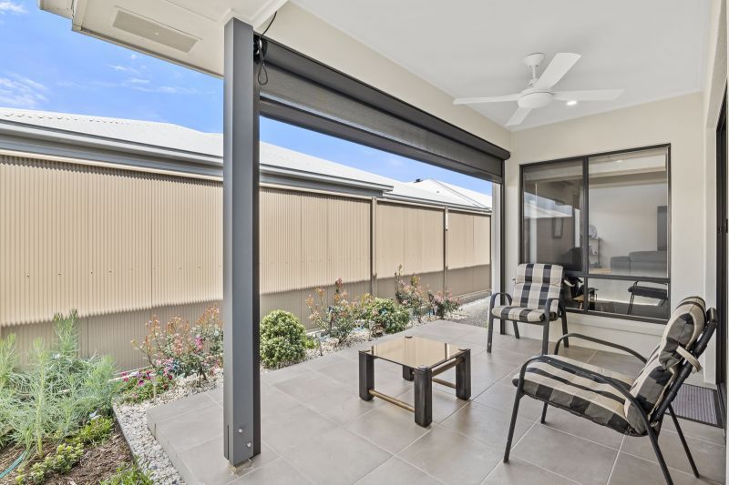 Site 230 - Established Beechmont