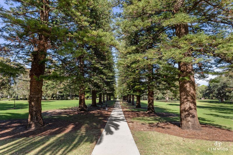 Investment Potential!