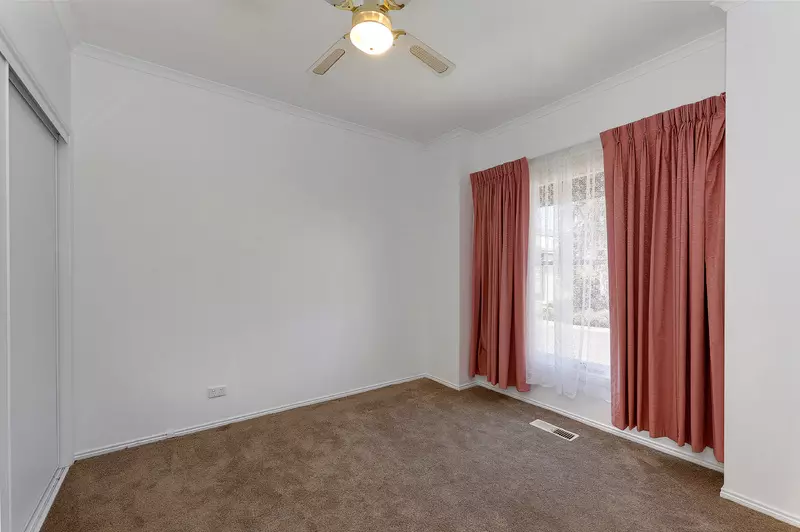 Plenty of Natural Light!