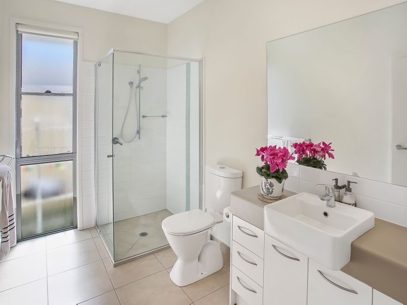 Waterfront Bird Watching