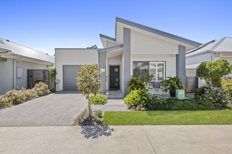 Site 63- Established Rosevale