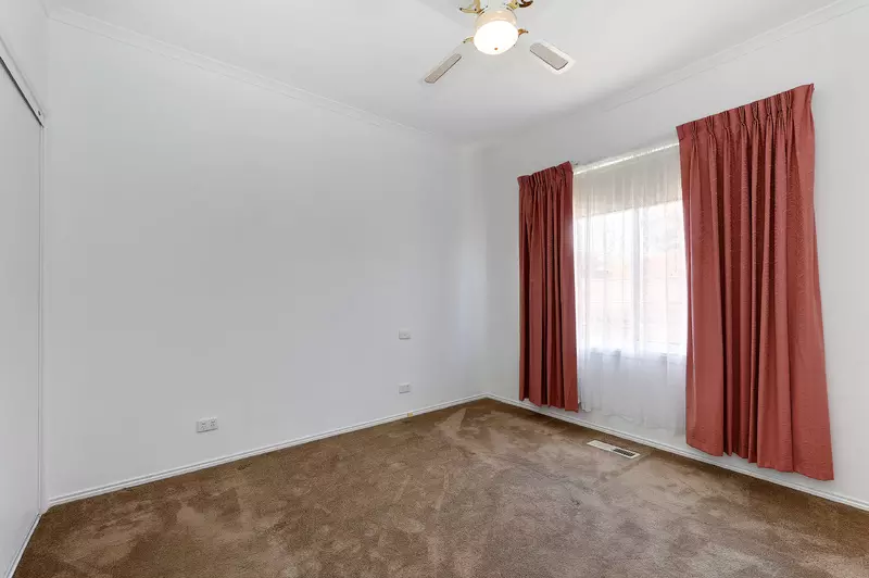 Plenty of Natural Light!