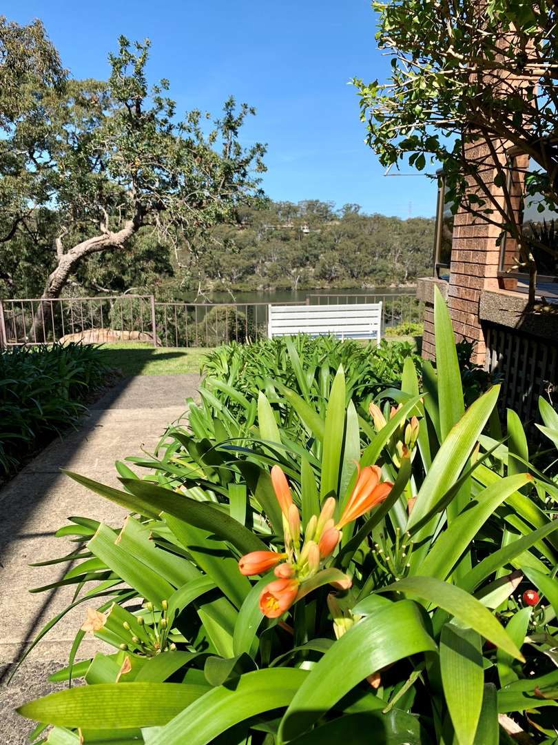 Start Your Day with Serenity