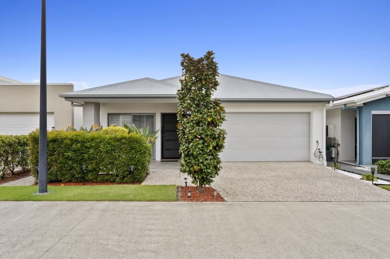 Site 91 - Established Crest Mare