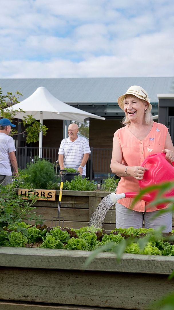 Site 225 - Established Grand Bellview